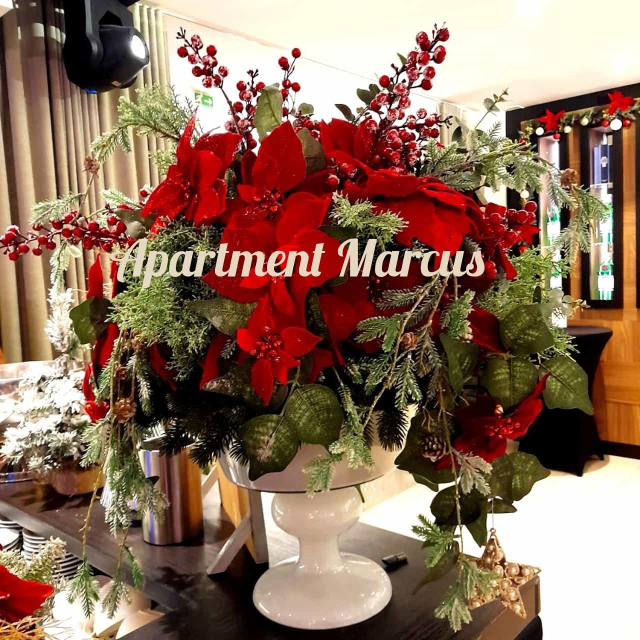 Apartments Marcus & Pascal Sibenik Ngoại thất bức ảnh