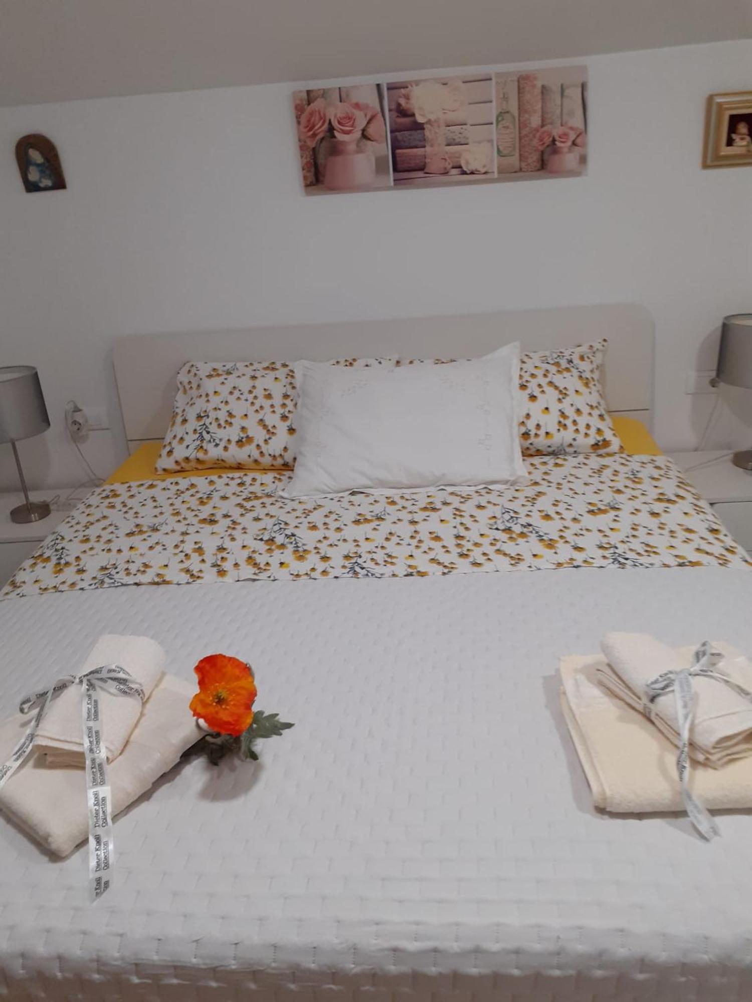 Apartments Marcus & Pascal Sibenik Ngoại thất bức ảnh